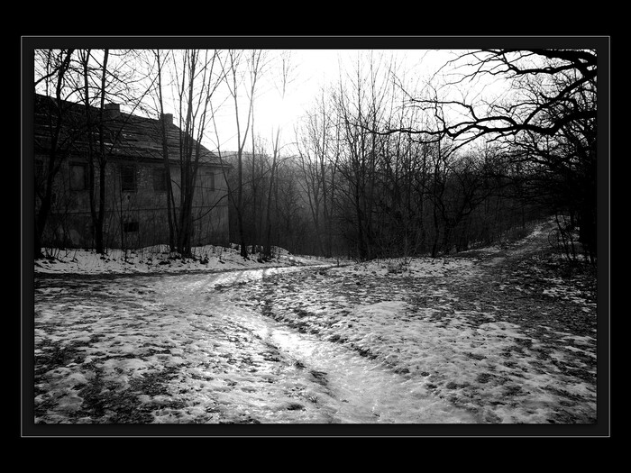 Začátek cesty
Keywords: Cibulka