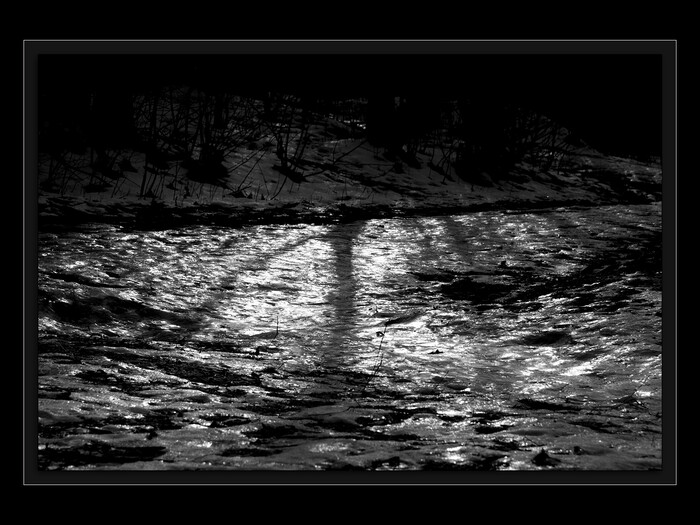 Reflexe
Keywords: Cibulka