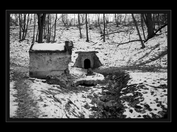 U jezírka - celek
Keywords: Cibulka