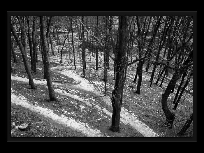 Vnímání souvislostí
Keywords: Cibulka;čas;time wave zero;sbíhání času;čas