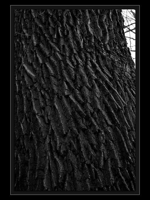 Bassrelief
Keywords: Cibulka