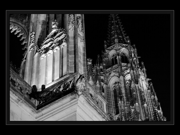 neb lidská vůle
Keywords: katedrála;galaktická transformace 2012;vzestup;hvězdné vědomí